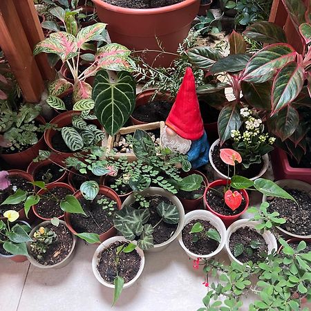 Casa Micaela Daire Iquitos Dış mekan fotoğraf