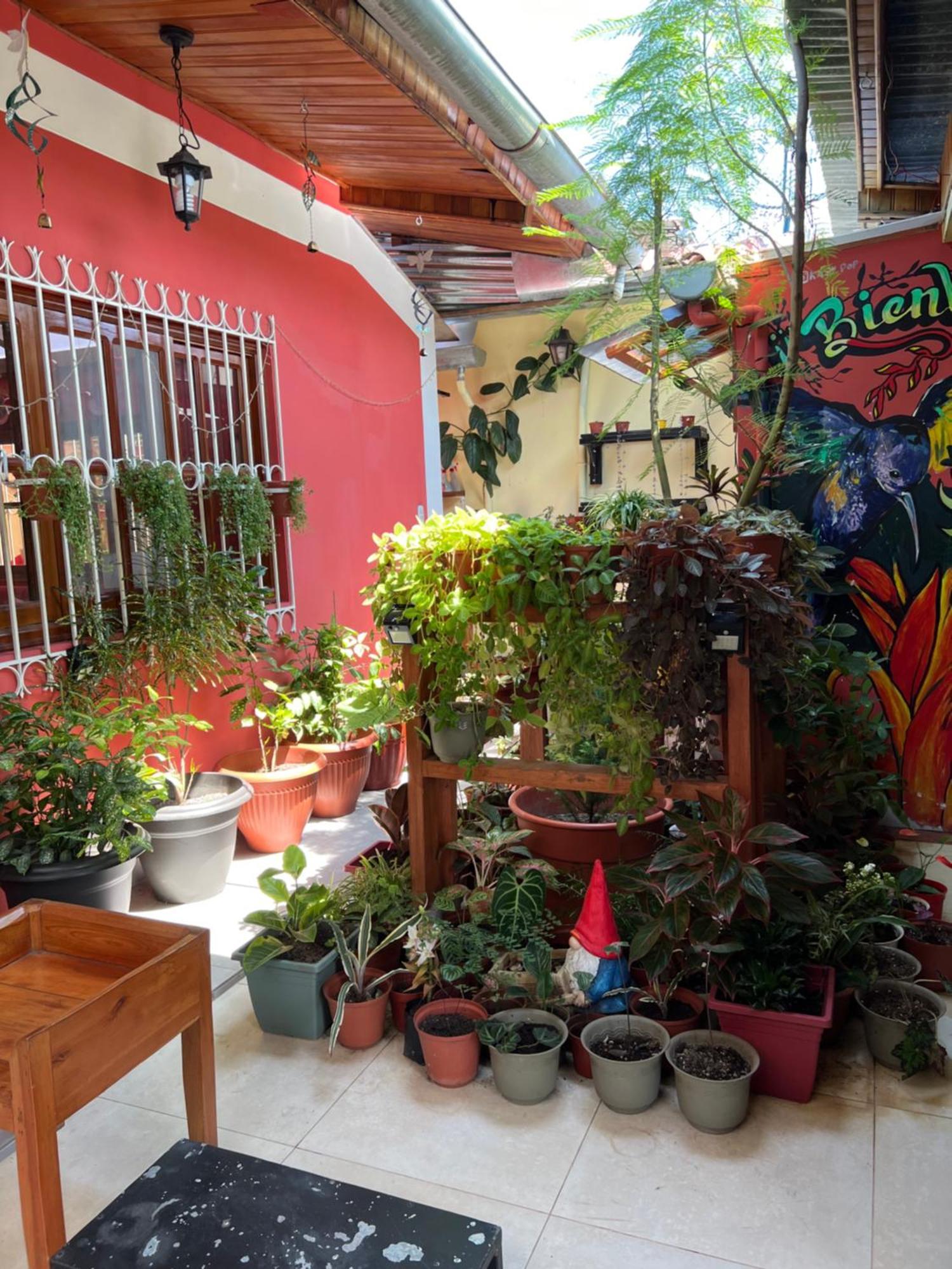 Casa Micaela Daire Iquitos Dış mekan fotoğraf