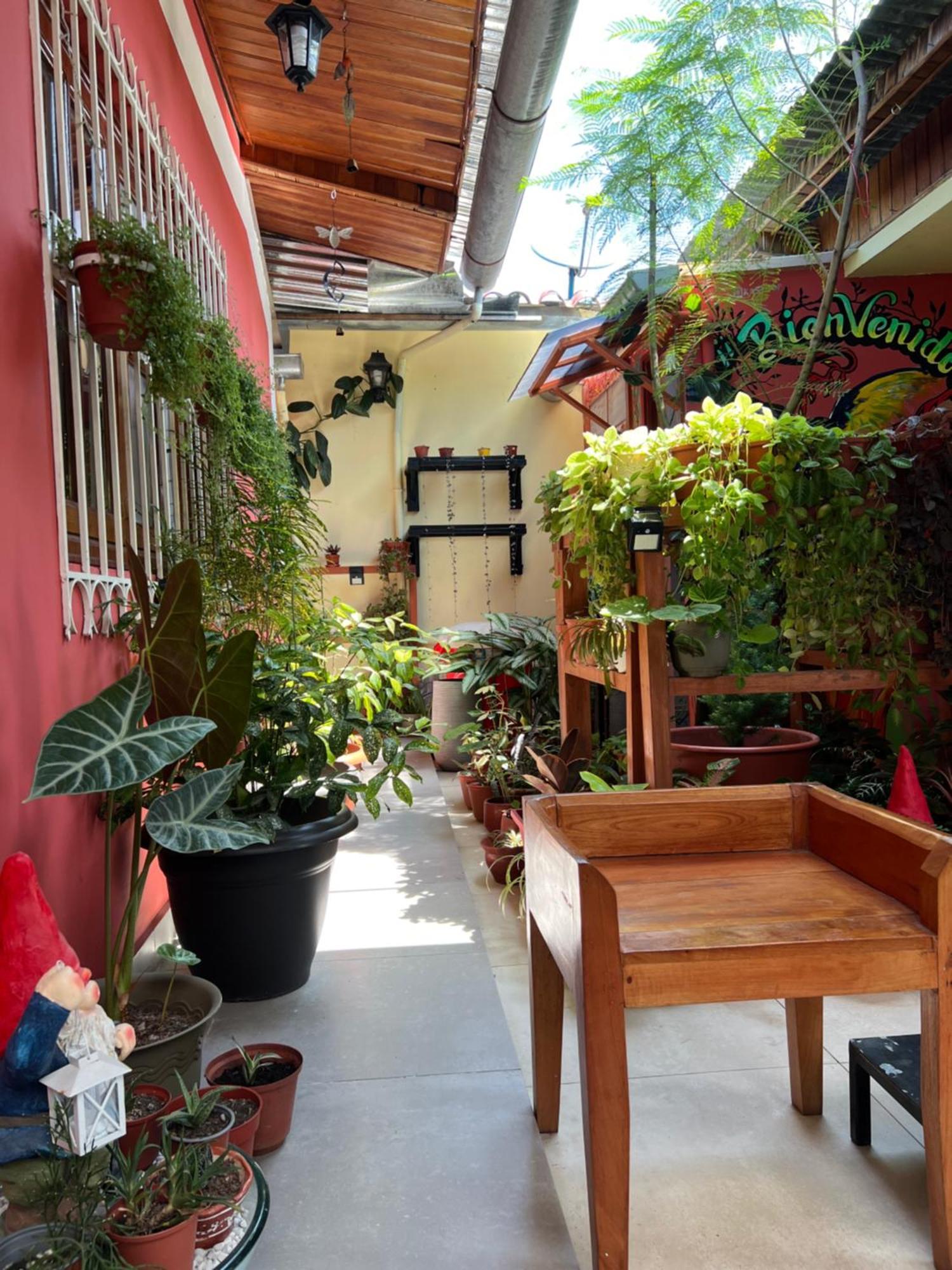 Casa Micaela Daire Iquitos Dış mekan fotoğraf