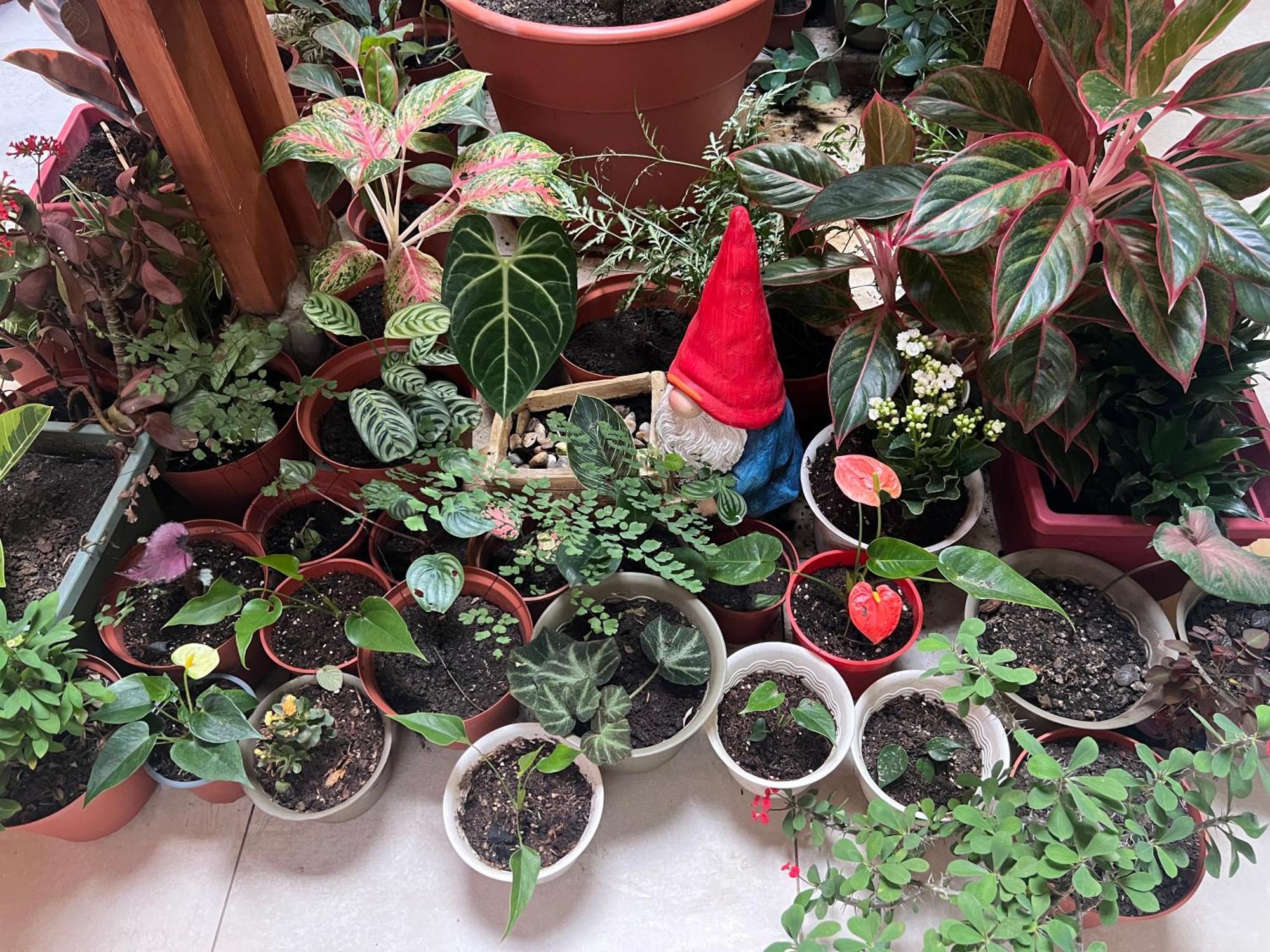 Casa Micaela Daire Iquitos Dış mekan fotoğraf
