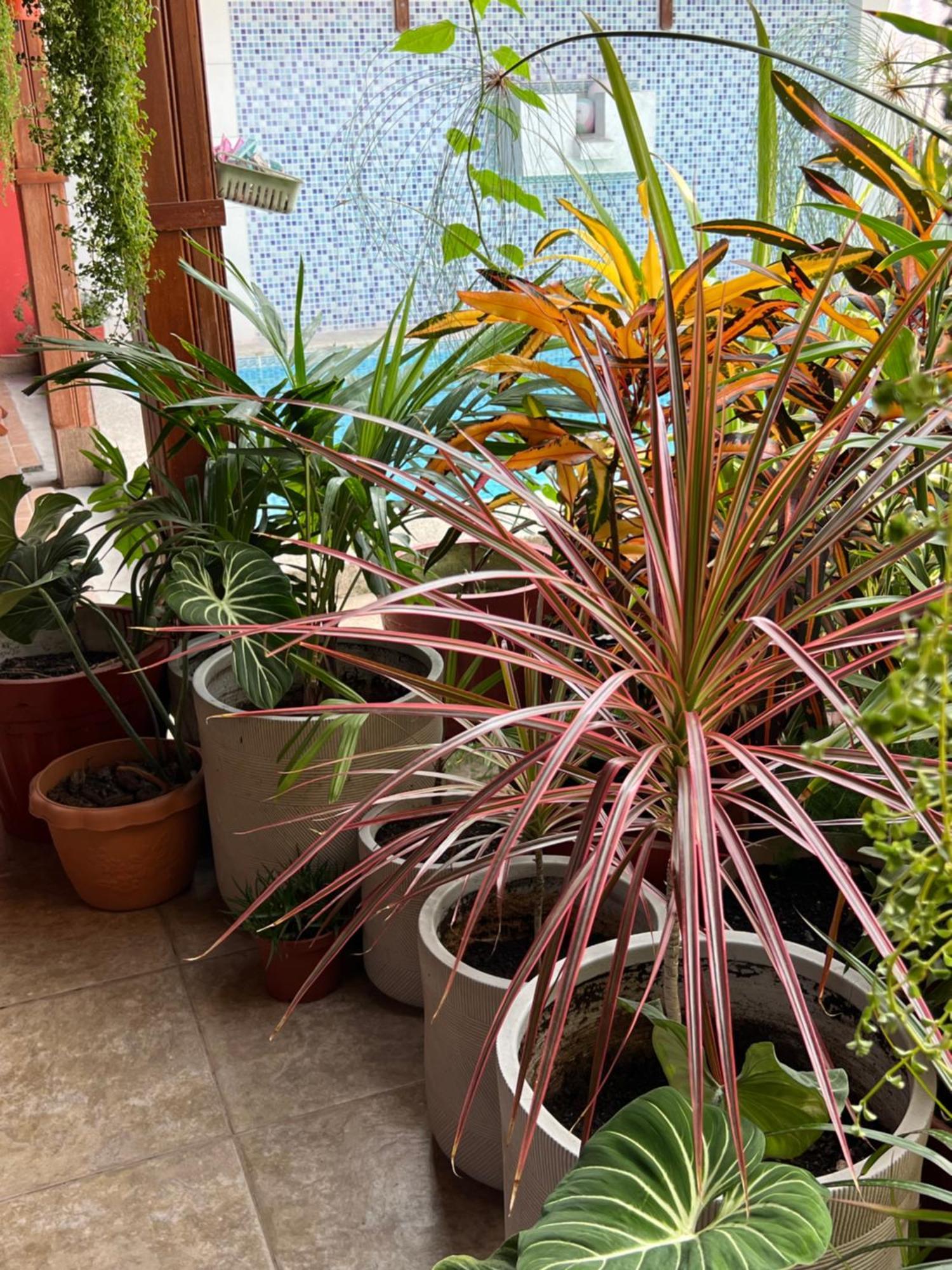 Casa Micaela Daire Iquitos Dış mekan fotoğraf